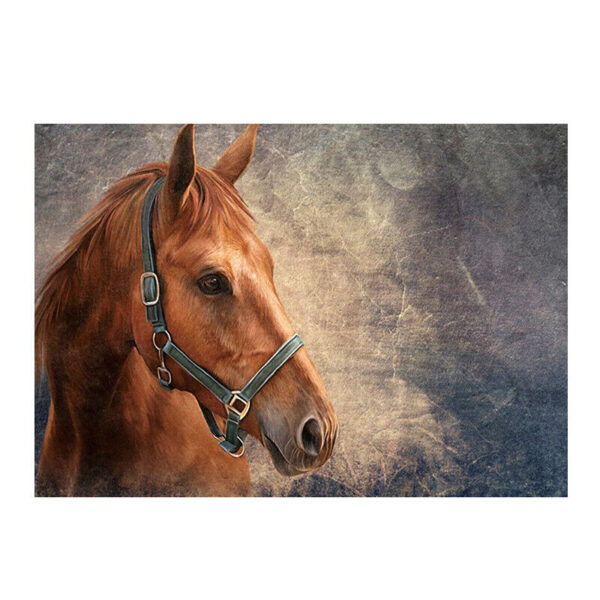 Horse Carpet Area Rug Home Decor